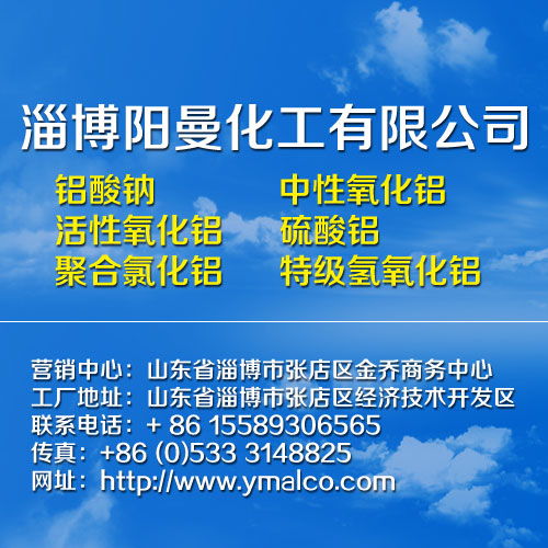 山東鋁酸鈉技術(shù)優(yōu)勢與廠價直銷服務(wù)